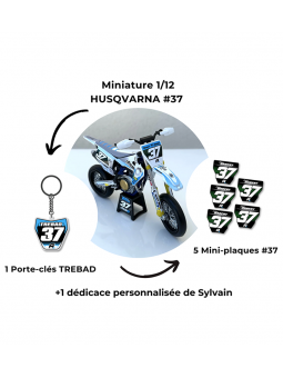 Kit fan Sylvain DABERT